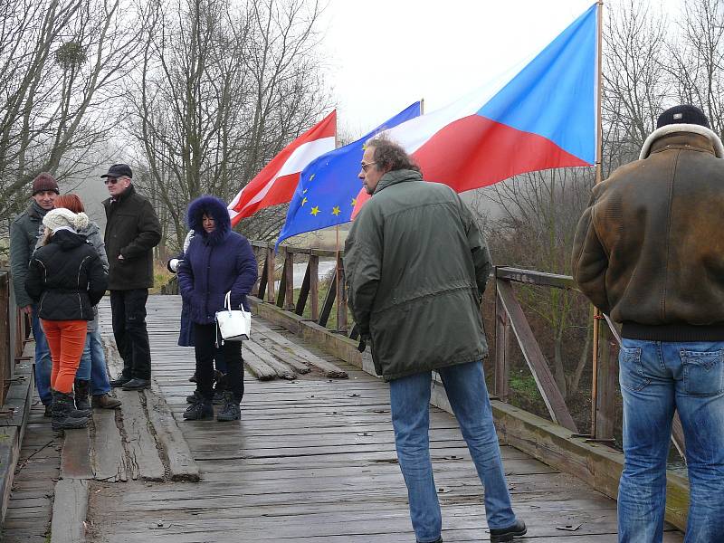 Do ledové Dyje se ponořilo u Pohanska přes osmdesát plavců.