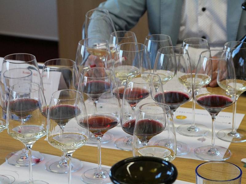 Degustátoři hodnotili vzorky pro titul Šampiona Salonu vín pro rok 2018. Tím se stal Ryzlink vlašský od Nového vinařství v Drnholci.