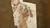 Vzácné fresky ukrývala vrstva malby v kostele sv. Michala v Dolních Věstonicích. Při opravách je tam v těchto dnech objevili archeologové z Regionálního muzea v Mikulově. Jejich původ teď zkoumají.