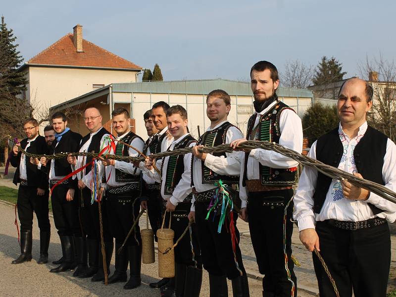 Hustopečská chasa vyrazila do ulic Hustopečí se sedmimetrovou pomlázkou.