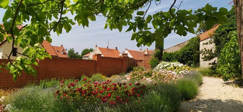 Zámecké zahrady v Mikulově jsou na počátku léta v plném květu.