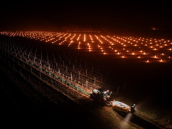 Vinař Martin Šebesta s kolegy chránil v pátek před mrazy vinnou révu ve svých vinohradech v Březí zapálenými parafinovými svícemi. Foto: Martin Šebesta