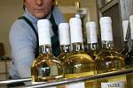 Společnost Vinné sklepy Valtice začala s lahvováním Svatomartinského vína.