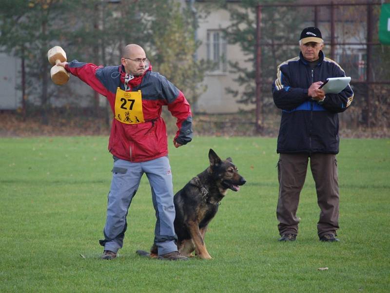 Závody psů a jejich psovodů na Mistrovství Moravskoslezského kynologického svazu.