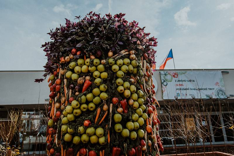 Podzimní Flora Olomouc