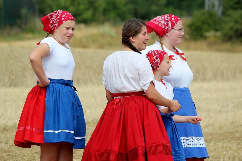 V Drnholci byla k vidění ukázka dobových žní a historické techniky