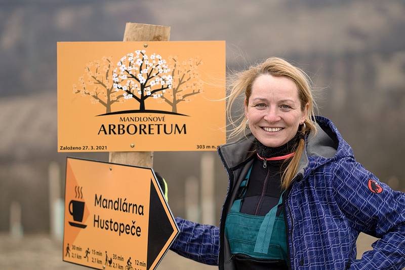 Mandloňové sady v Hustopečích se rozrostly o patnáct nových druhů tohoto stromu. Arboretum u rozhledny má zpestřit návštěvu turistům. O mandloních se na místě mnohé dozvědí. Za výsadbou stojí majitelka Hustopečské mandlárny Kateřina Kopová. 24. března 202