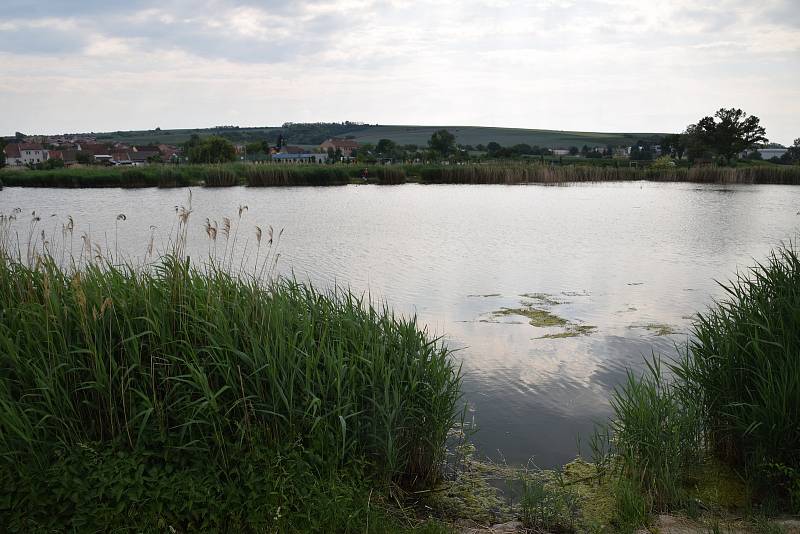 Ve Starovicích kladou důraz na péči o životní prostředí.