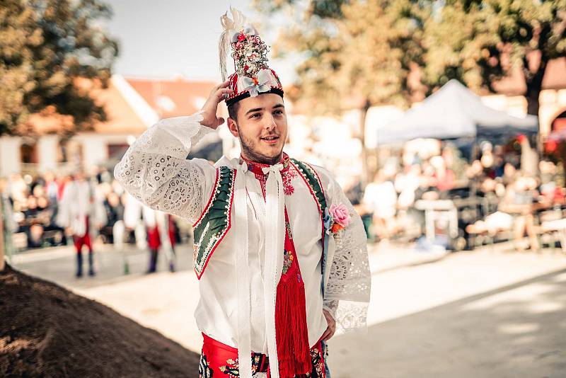 Ohlédnutí za tradičními hody v Lanžhotě.