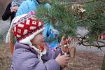 Tradici zdobení stromečku zvířátkům dodržují děti v Hustopečích již několik let.