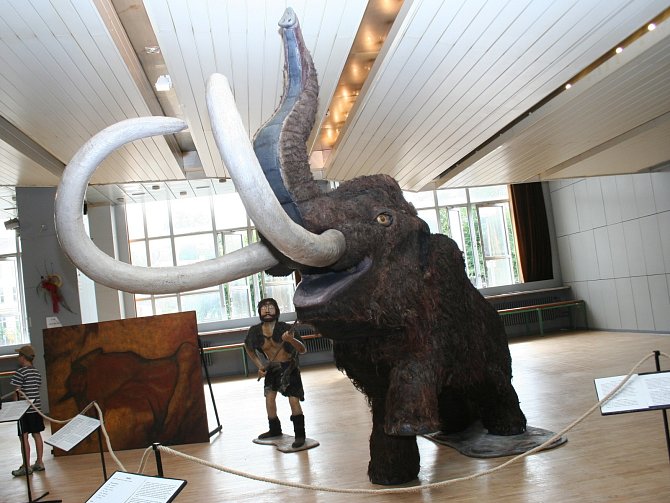 V břeclavském domu kultury mohou návštěvníci obdivovat mamuta. Přednáška je seznámí i se životem v pravěku. 