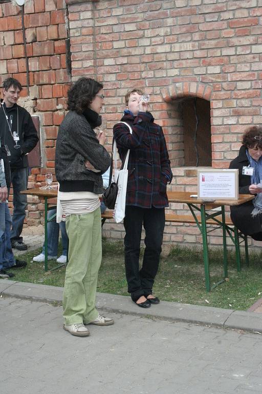 Festival otevřených sklepů se vrátil na Podluží.