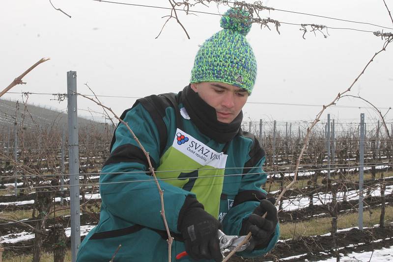 Střihači soutěžili v pátek v Dolních Dunajovicích na mistrovství České republiky v řezu vinné révy.