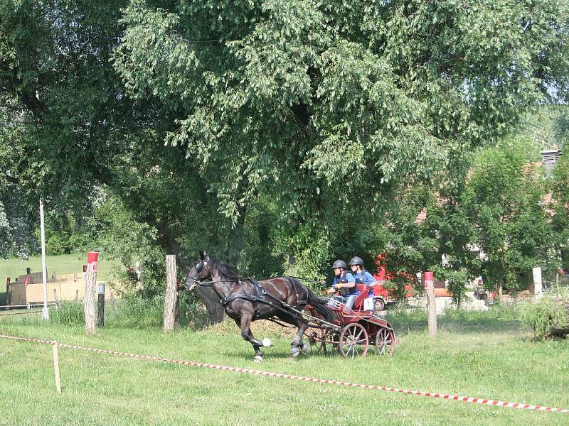 Vozatajské závody.