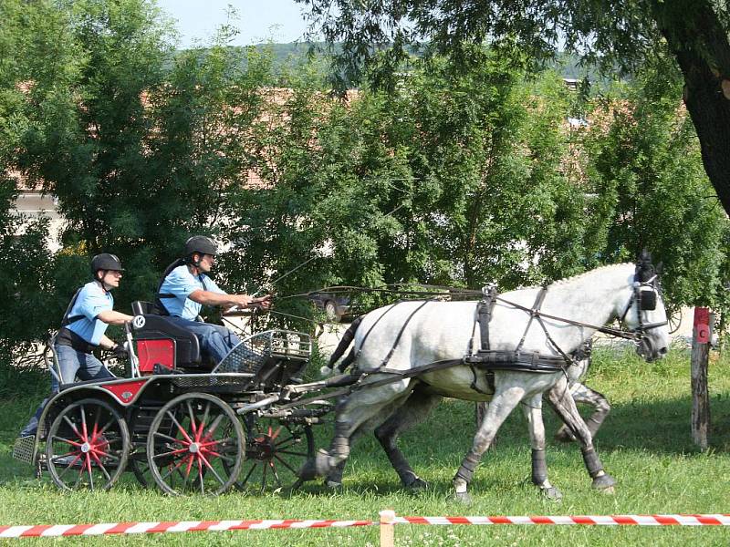 Vozatajské závody.