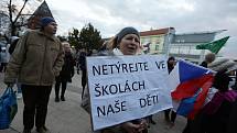 Několik stovek lidí prošlo Břeclaví na demonstraci proti novele pandemického zákona.