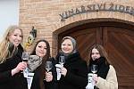 Sedmnáct vinných sklepů a vinařství otevřelo své dveře v Popicích na Břeclavsku při Tour de sklep 2018.