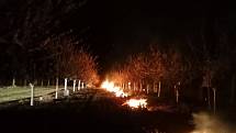 Sadaři ve Velkých Bílovicích zapalovali v noci na pondělí ohně mezi kvetoucími stromy kvůli ochraně úrody meruněk. Kolem šesté hodiny ráno naměřili mínus 5,5 stupně Celsia.