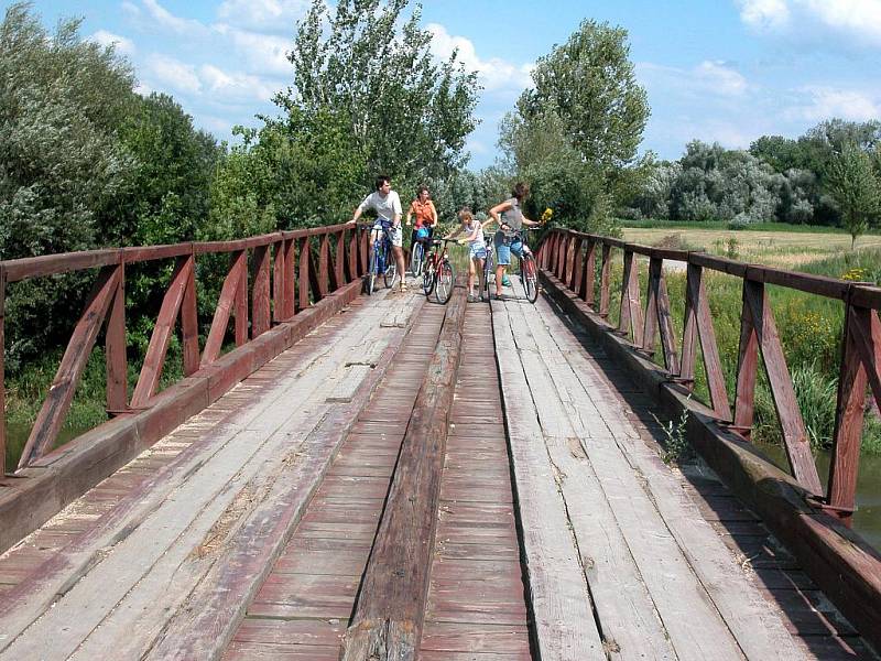 Dřevěný most na cyklostezce přes řeku Dyji.