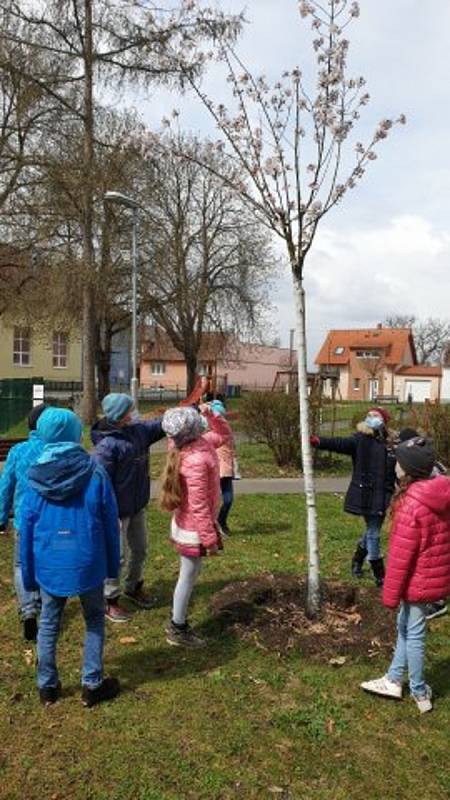 Děti se seznámily s léčivými bylinami, uklidily park a poslouchaly relaxační hudbu.