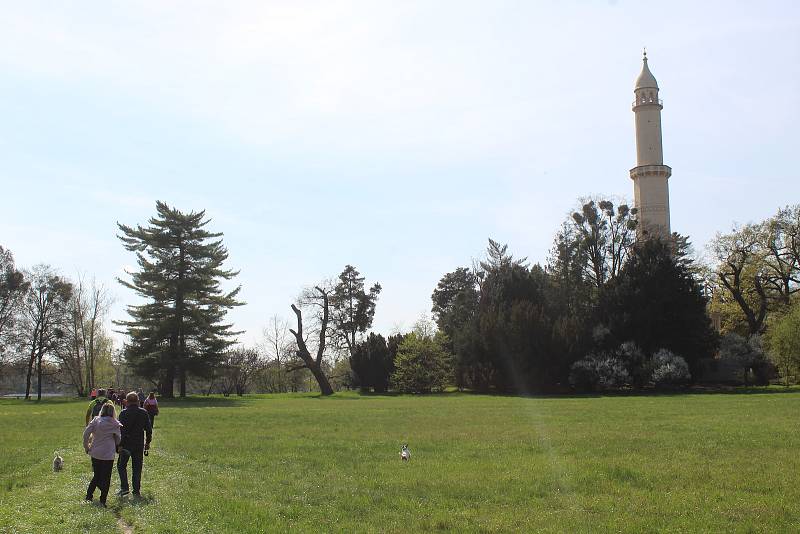 Z lednické zámku k minaretu lodí a zpátky po břehu.