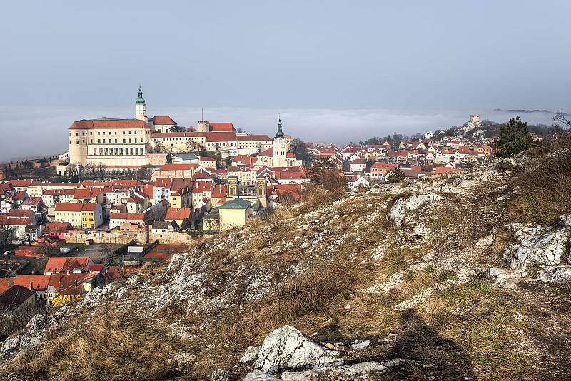 Dominantou města Mikulov je zámek. Při dobrém počasí je na něj krásný výhled ze Svatého kopečku.