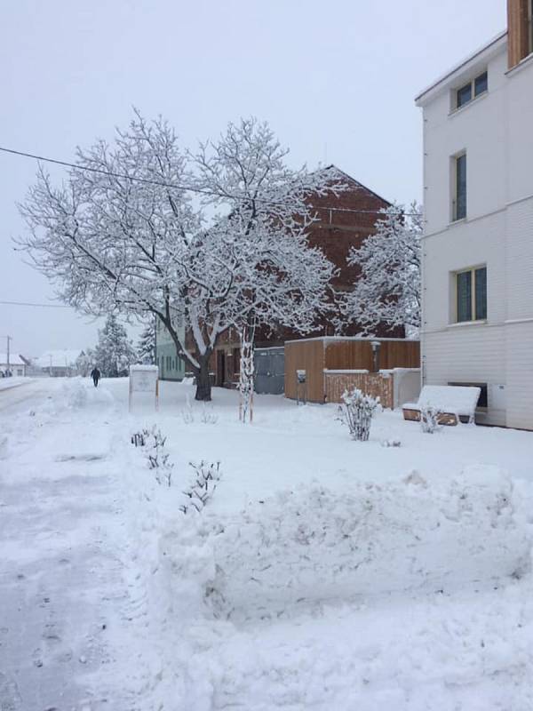 Břeclavsko pod sněhem. Na snímku Hrušky.