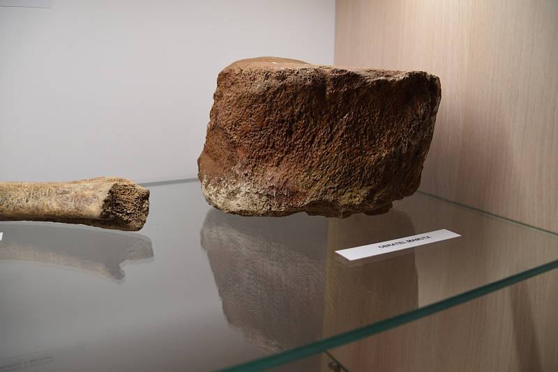 Milovičtí vystavují nálezy, které se podařilo vykopat týmu archeologů v katastru obce. Výstavu v budově obecního úřadu chtějí tamní pravidelně obměňovat a doplňovat.