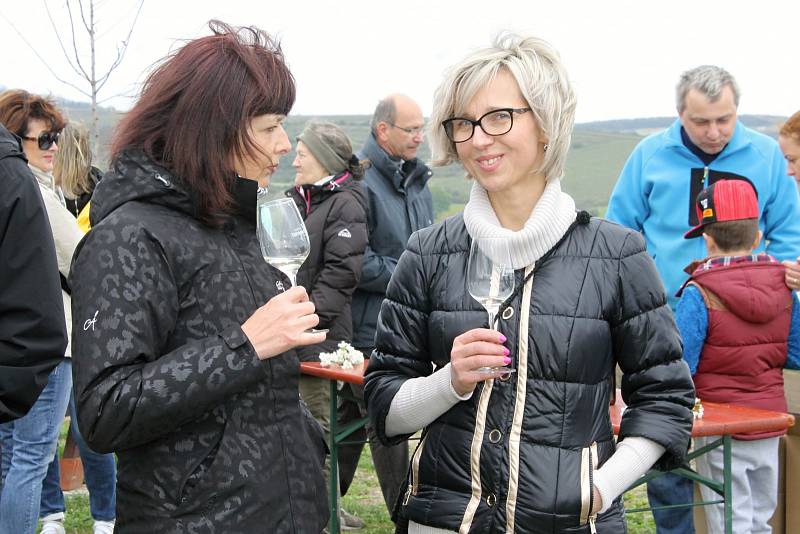 Asi padesát nadšenců se zúčastnilo sobotní Jarní šlapky ve Velkých Pavlovicích. Při pochodu si opekli špekáčky i ochutnali víno.