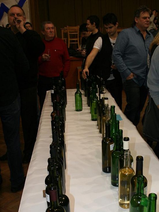 Břeclavský deník | Tříkrálový košt mladých vín | fotogalerie