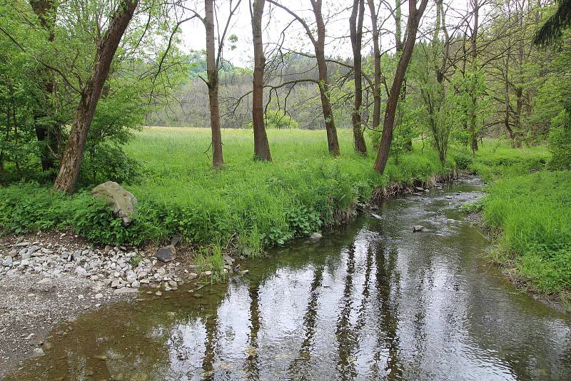 Okolí potoka Bílá voda u Holštejna na Blanensku lemují rozlehlé louky. Stát chtěl tuto lokalitu zařadit na seznam zásobáren vody.