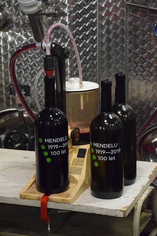 Červené víno odrůdy Cerason v pátek ručně lahvovali na Zahradnické fakultě Mendelovy univerzity v Lednici na Břeclavsku.