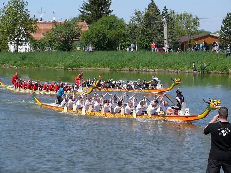 Dyji v sobotu brázdily dračí lodě.