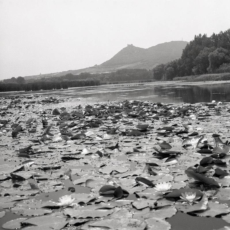 Než přišla přehrada. Pohled z jezera Pannsee na Děvín. Foto Petr Macháček, 1976