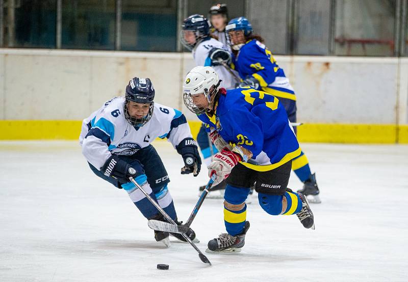 Břeclavské hokejistky uspořádaly o víkendu miniturnaj na domácím ledě.