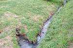 Za vypouštění nečisté vody z kanalizace udělila Česká inspekce životního prostředí Horním Bojanovicím pokutu ve výši sto tisíc korun.
