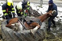 Koni z pneumatiky pomohli až hasiči