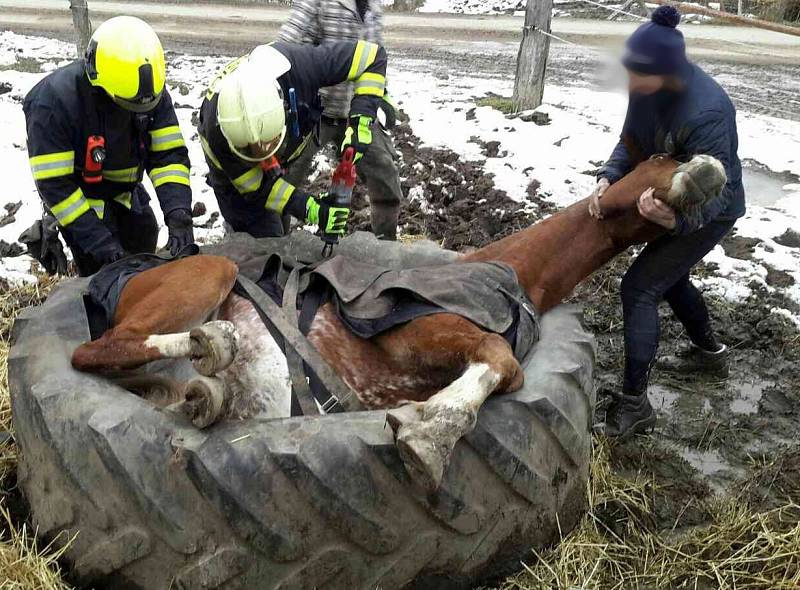 Koni z pneumatiky pomohli až hasiči