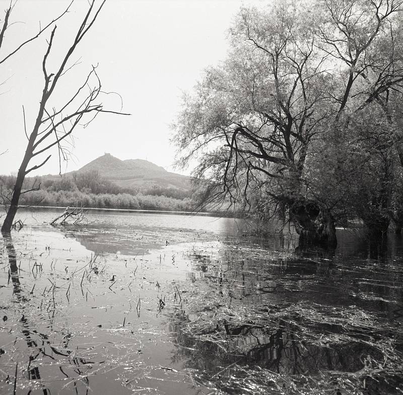 Než přišla přehrada. Záplavy u Strachotína. Foto Petr Macháček, 1979