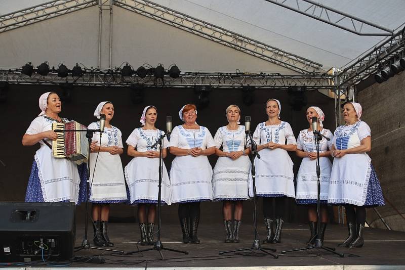 Ohlédnutí za letošním vinobraním ve Velkých Pavlovicích.