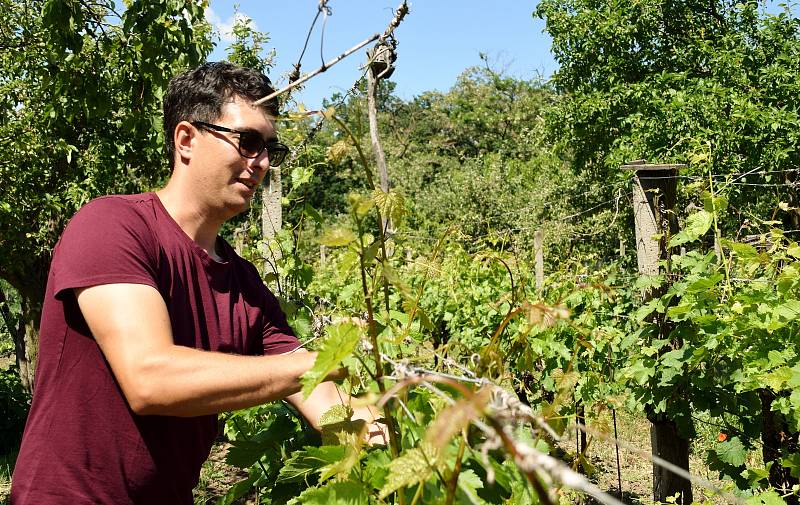 Manželé Drtílkovi převzali v Hlohovci farmu po Klářině zemřelém otci. Na památku po něm ji pojmenovali Spěvákova farma.