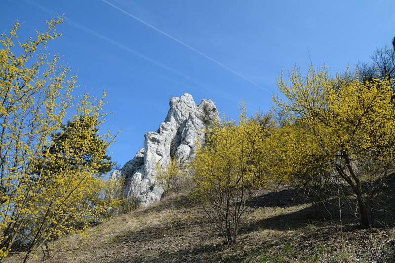 Národní přírodní rezervace Děvín.