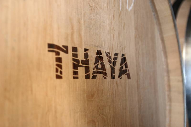 Šampionem Salonu vín 2021 se stalo Rulandské bílé od Vinařství Thaya z Hnanic.