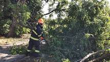 Lidé na Břeclavsku stále po včerejší bouři objevují popadané stromy. Jedná se o jednotky případů.