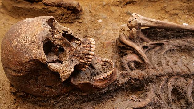 Na Mušově u novomlýnských nádrží pokračuje archeologický výzkum jednoho z největších pohřebišť germánských Langobardů ze šestého století našeho letopočtu. Zaujal objev téměř neporušené kostry bojovníka, který byl pochovaný s kopím a svými dvěma psy.