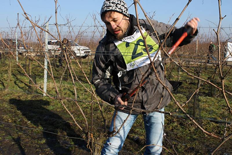 Muži i ženy poměřili své síly při mistrovství republiky v řezu vinné révy. Ve Velkých Bílovicích se v pátek konal jedenáctý ročník této akce.