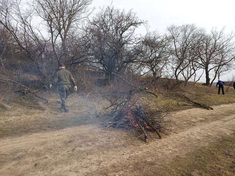 Pálavští strážci přírody měli brigádu pod Tabulovou horou. Foto: Jiří Matuška