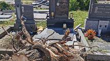 Zničený hřbitov v Moravské Nové Vsi. Vyvrácené stromy už hasiči ořezali a zlikvidovali.