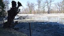 Na deset bagrů a speciální těžké pásové techniky stále ještě brázdí dno Zámeckého rybníka v lednickém zámeckém parku. Areál opustí na konci března, kdy se do koryta vrátí voda.