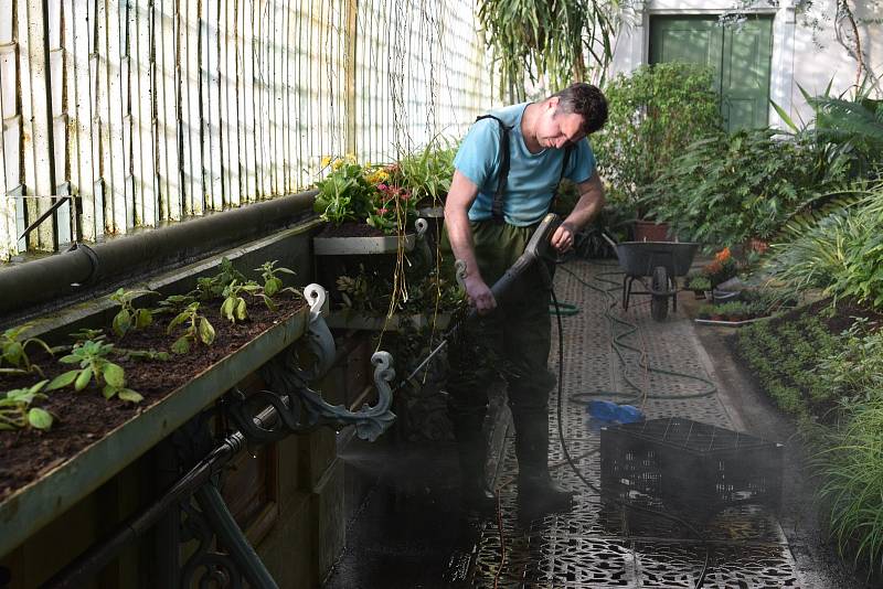 Zahradnice a zahradníci intenzivně připravují skleník v lednickém zámeckém parku na brzké otevření.